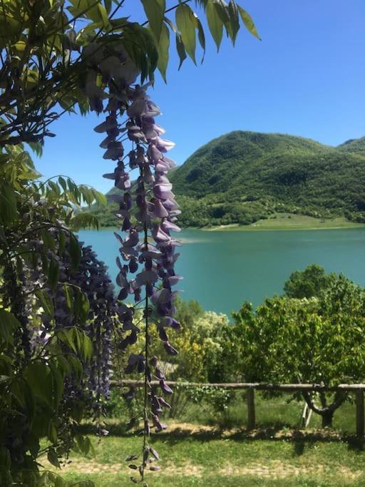 Casa Sul Lago Nonna Gio' Lejlighed Colle di Tora Eksteriør billede